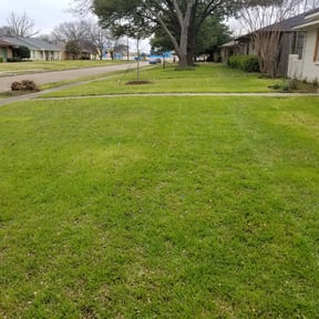 Leaf Removal by G&M Landscaping Services reviewed on August 16, 2025