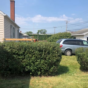 Bush Trimming by Top Landscape Maintenance LLC reviewed on August 21, 2025