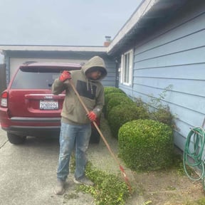 Bush Trimming by Los Hombre Landscaping reviewed on May 15, 2024
