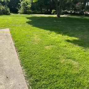 yard service by P&A Landscaping reviewed on August 19, 2025