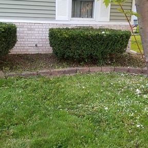 Bush Trimming by Garrett Family Lawn & Landscape reviewed on August 19, 2025