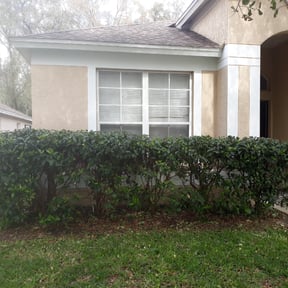 Bush Trimming by Much Obliged Lawn Care reviewed on October 5, 2023