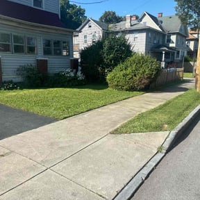 lawn service by VOW Services reviewed on April 19, 2024