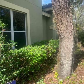 Bush Trimming by Torres Lawn Care reviewed on August 15, 2025