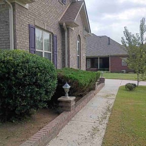 Bush Trimming by Vega Outdoor Design reviewed on August 3, 2026