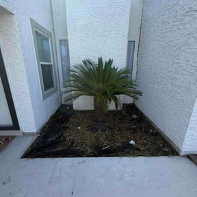 Bush Trimming by TOMS - Total Outdoor Maintenance reviewed on August 25, 2026