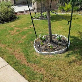 Flower Bed Weeding by Central Valley Yard Services reviewed on August 19, 2026