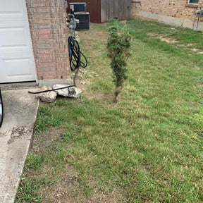 Bush Trimming by Neckbrakering details LLC reviewed on August 15, 2025