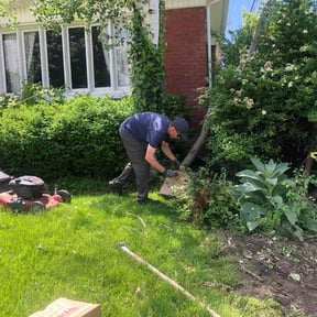 Bush Trimming by S & Z Lawn Service reviewed on August 17, 2025