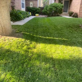 yard work by Swayne’s Lawncare LLC reviewed on August 17, 2025