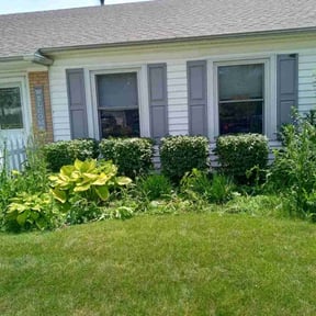 Bush Trimming by Busy Bee&#039;s Lawn Care LLC reviewed on August 18, 2025