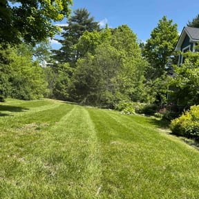 lawn service by Rich Evergreen Mindful Lawn Care reviewed on October 18, 2024