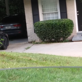 Bush Trimming by Heiser Lawn and Residential Excavating reviewed on November 22, 2025