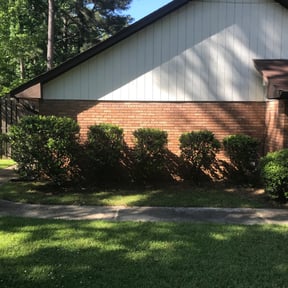 Bush Trimming by The Brothers lawn care reviewed on August 21, 2025