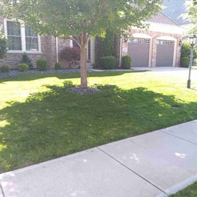 landscaping by 5K Landscape reviewed on August 21, 2025