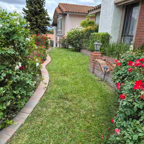 Bush Trimming by Mr.Mow It All Property Services LLC reviewed on May 2, 2026