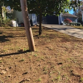 Leaf Removal by #High-Class Grass reviewed on September 16, 2025