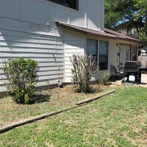 Bush Trimming by Hall's lawn service & clean up reviewed on August 18, 2025