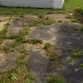 Flower Bed Weeding by Scott Lawn Care reviewed on August 18, 2025
