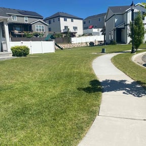 lawn care by Greener lawns reviewed on August 18, 2025