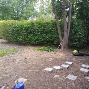Bush Trimming by Nates Lawn Service reviewed on August 18, 2025