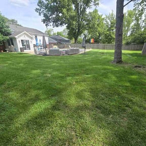 yard work by Brian Lienhart reviewed on August 17, 2025