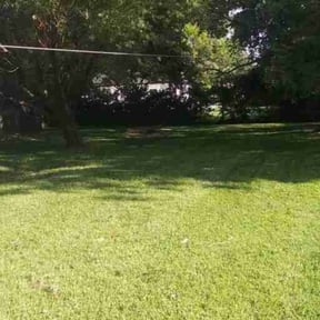 grass maintenance by Mann Services reviewed on March 31, 2024
