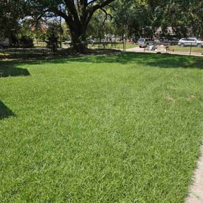 yard care by Anderson's Lawn Service reviewed on August 18, 2025