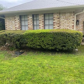 Bush Trimming by Moo's Mowing, LLC reviewed on August 18, 2025