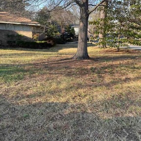 Leaf Removal by A&amp;A reviewed on April 22, 2026