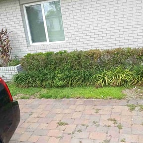 Bush Trimming by Tex Star property services reviewed on August 21, 2025