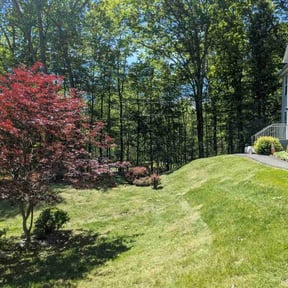 landscaping by Lionel j lee reviewed on December 17, 2025