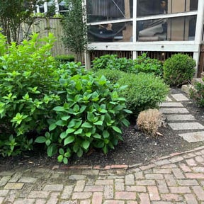 Flower Bed Weeding by H&H mowing reviewed on August 19, 2025