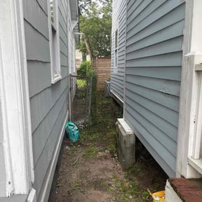 Bush Trimming by B.M.P  INC reviewed on October 24, 2025