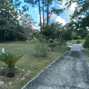 Bush Trimming by Zink Services reviewed on August 16, 2025