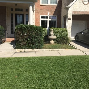 Bush Trimming by Rjm reviewed on August 13, 2025