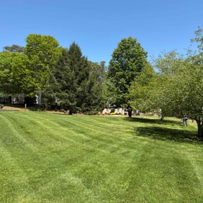 landscaping services by Everything Gregory Llc  reviewed on February 12, 2026