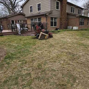 Leaf Removal by Braddy family holdings landscaping reviewed on August 20, 2025
