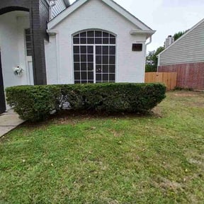 Bush Trimming by Achilles Lawn Care Service reviewed on July 24, 2026