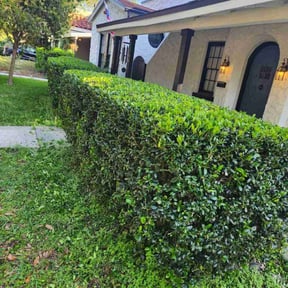 Bush Trimming by C&F outdoor solutions reviewed on August 20, 2025