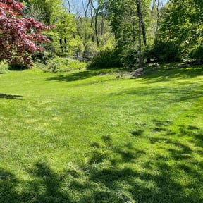 lawn care services by Jero&#039;s Landscape reviewed on September 14, 2025