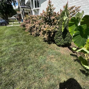 Flower Bed Weeding by Ecoscape Atlanta reviewed on November 5, 2025