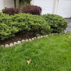 Flower Bed Weeding by Landscaping reviewed on August 18, 2025