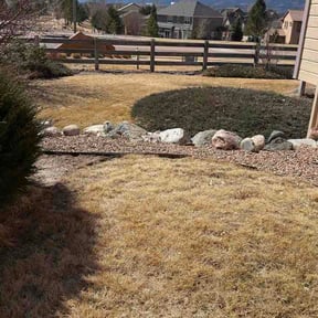 Leaf Removal by Leon's Lawns &amp; Home Improvements reviewed on June 1, 2026