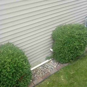 Bush Trimming by Zena's Lawn Service reviewed on August 19, 2025