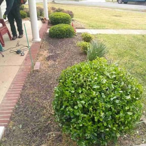 Flower Bed Weeding by PK Lawn Service LLC reviewed on April 19, 2026