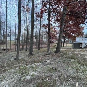 Leaf Removal by MT Lawn Care reviewed on November 24, 2025