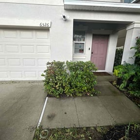 Bush Trimming by Royalty lawn care reviewed on August 16, 2025