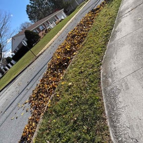 Leaf Removal by Lawnspire reviewed on September 30, 2025