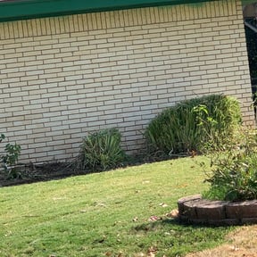 Bush Trimming by Checkmate Before & After Lawn Care Services reviewed on August 19, 2025